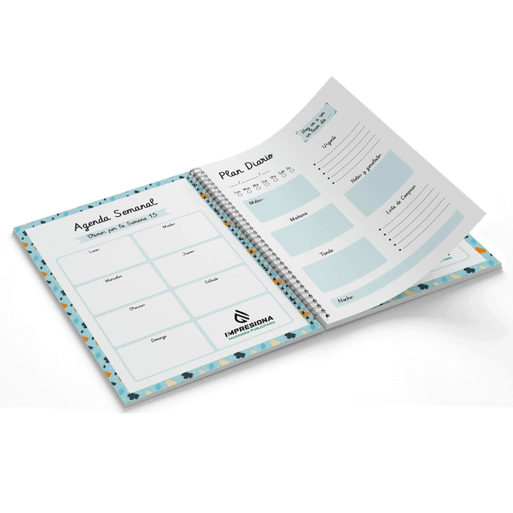 Agendas publicitarias - Ejemplo 1